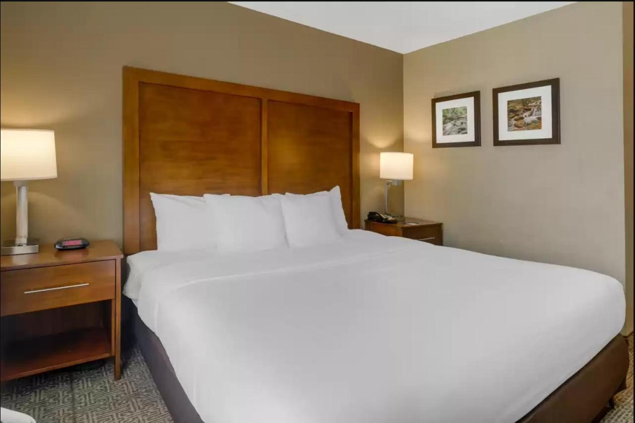 Comfort Inn & Suites Peachtree Corners Норкросс Экстерьер фото